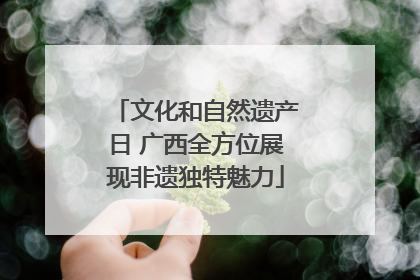 文化和自然遗产日 广西全方位展现非遗独特魅力