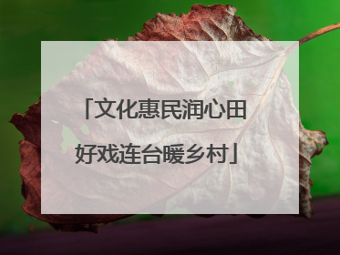 文化惠民润心田 好戏连台暖乡村