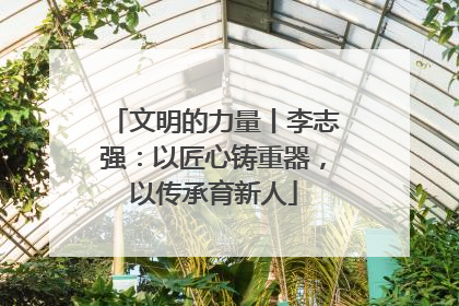文明的力量丨李志强：以匠心铸重器，以传承育新人