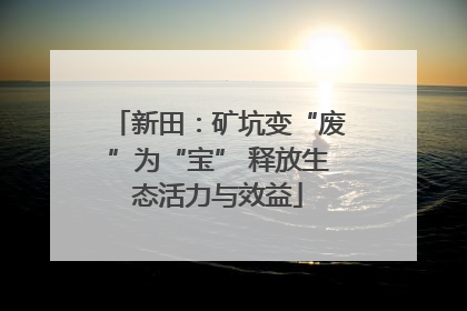 新田：矿坑变“废”为“宝” 释放生态活力与效益