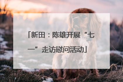新田：陈雄开展“七一”走访慰问活动