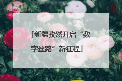 新疆孜然开启“数字丝路”新征程