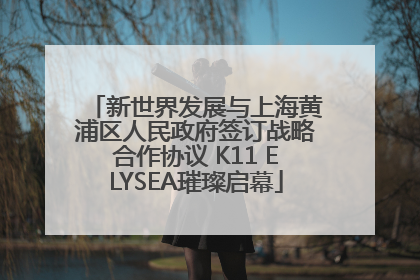 新世界发展与上海黄浦区人民政府签订战略合作协议 K11 ELYSEA璀璨启幕