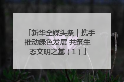 新华全媒头条｜携手推动绿色发展 共筑生态文明之基（1）