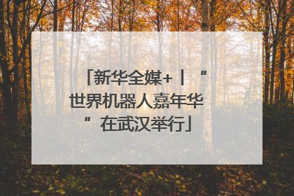 新华全媒+丨“世界机器人嘉年华”在武汉举行