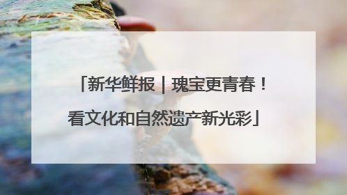 新华鲜报｜瑰宝更青春！看文化和自然遗产新光彩