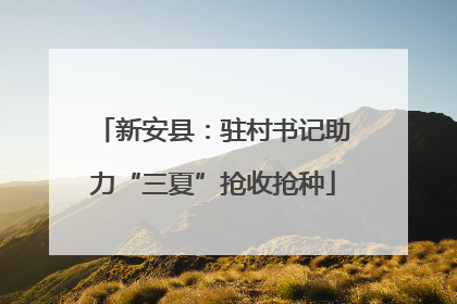 新安县：驻村书记助力“三夏”抢收抢种