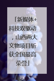 新媒体+科技双驱动，山西两大文物项目斩获全国最高荣誉