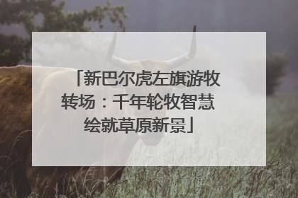 新巴尔虎左旗游牧转场：千年轮牧智慧绘就草原新景
