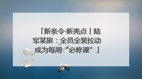 新条令·新亮点丨陆军某旅：全员全装拉动成为每周“必修课”