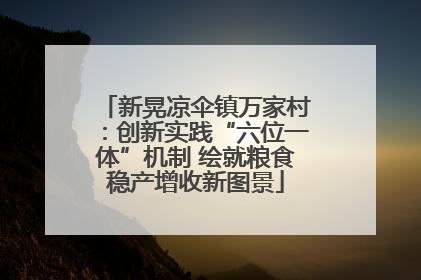 新晃凉伞镇万家村：创新实践“六位一体”机制 绘就粮食稳产增收新图景