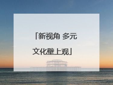 新视角 多元文化壁上观