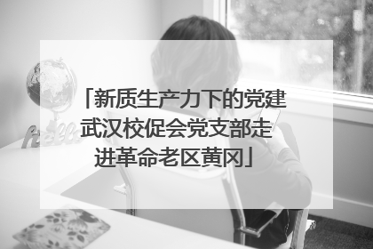 新质生产力下的党建 武汉校促会党支部走进革命老区黄冈