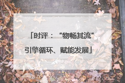 时评：“物畅其流”引擎循环、赋能发展