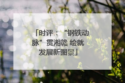 时评：“钢铁动脉”贯湘赣 绘就发展新图景