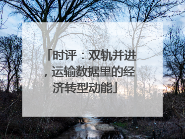 时评：双轨并进，运输数据里的经济转型动能