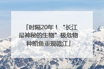 时隔20年！“长江最神秘的生物”极危物种鳤鱼重现赣江