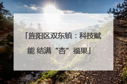 旌阳区双东镇：科技赋能 结满“杏”福果