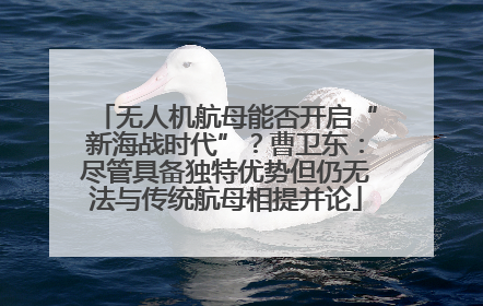 无人机航母能否开启“新海战时代”？曹卫东：尽管具备独特优势但仍无法与传统航母相提并论