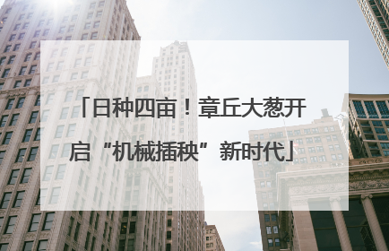 日种四亩！章丘大葱开启“机械插秧”新时代
