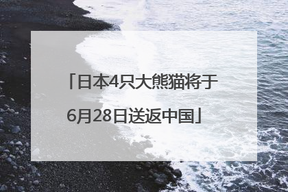 日本4只大熊猫将于6月28日送返中国