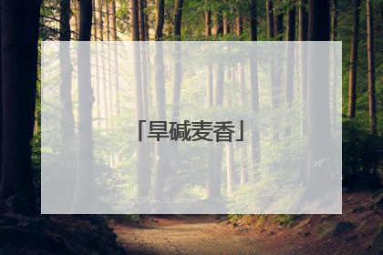 旱碱麦香