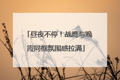 昼夜不停！战鹰与晚霞同框氛围感拉满