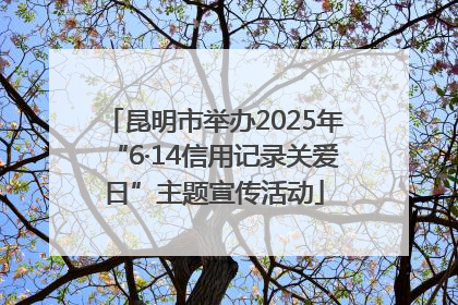 昆明市举办2025年“6·14信用记录关爱日”主题宣传活动