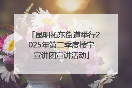 昆明拓东街道举行2025年第二季度楼宇宣讲团宣讲活动