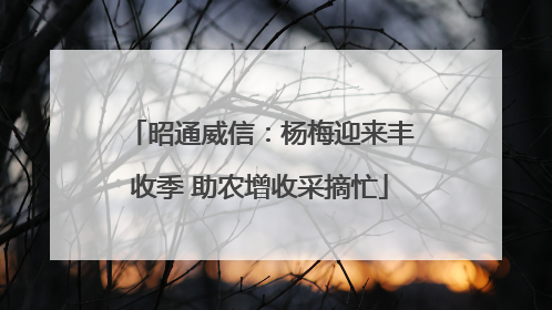 昭通威信：杨梅迎来丰收季 助农增收采摘忙