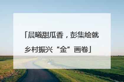 晨曦甜瓜香，彭集绘就乡村振兴“金”画卷