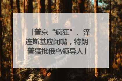 普京“疯狂”、泽连斯基应闭嘴，特朗普猛批俄乌领导人