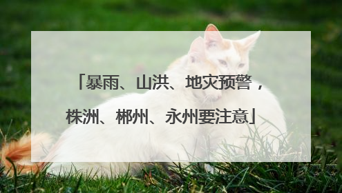 暴雨、山洪、地灾预警，株洲、郴州、永州要注意