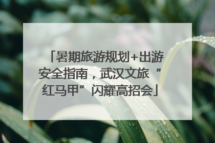 暑期旅游规划+出游安全指南，武汉文旅“红马甲”闪耀高招会