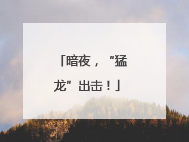 暗夜，“猛龙”出击！