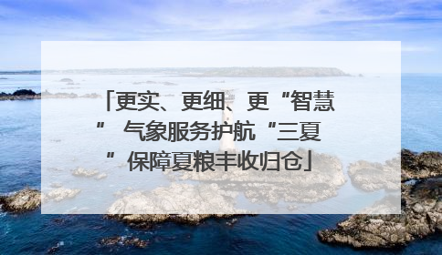更实、更细、更“智慧” 气象服务护航“三夏”保障夏粮丰收归仓