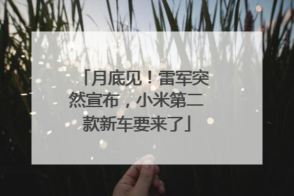 月底见！雷军突然宣布，小米第二款新车要来了