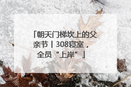 朝天门梯坎上的父亲节丨308寝室，全员“上岸”