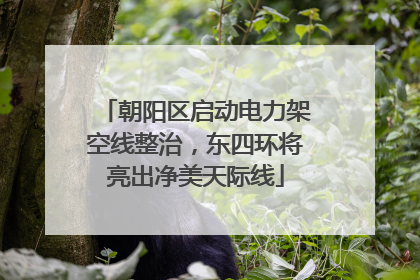 朝阳区启动电力架空线整治，东四环将亮出净美天际线