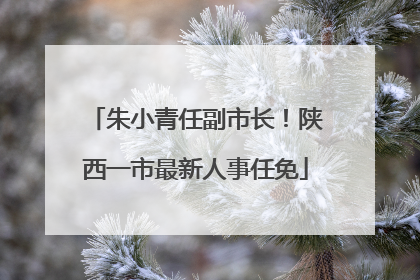 朱小青任副市长！陕西一市最新人事任免