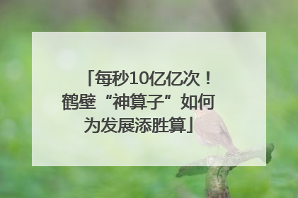 每秒10亿亿次！鹤壁“神算子”如何为发展添胜算