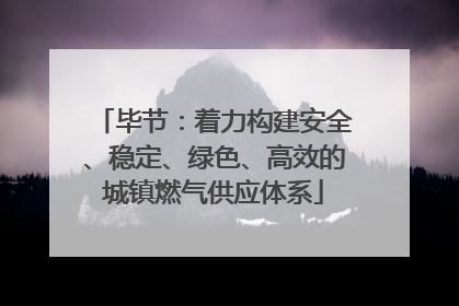 毕节：着力构建安全、稳定、绿色、高效的城镇燃气供应体系