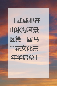 武威祁连山冰沟河景区第二届马兰花文化嘉年华启幕