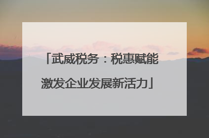 武威税务：税惠赋能 激发企业发展新活力