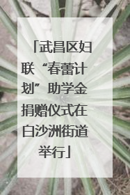 武昌区妇联“春蕾计划”助学金捐赠仪式在白沙洲街道举行