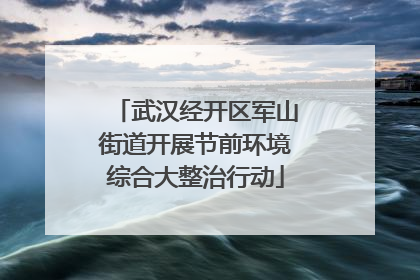 武汉经开区军山街道开展节前环境综合大整治行动