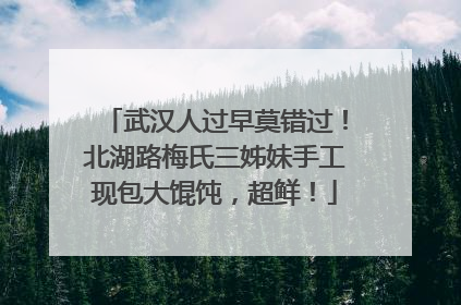 武汉人过早莫错过！北湖路梅氏三姊妹手工现包大馄饨，超鲜！