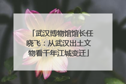 武汉博物馆馆长任晓飞：从武汉出土文物看千年江城变迁