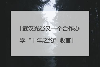 武汉光谷又一个合作办学“十年之约”收官