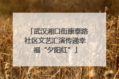 武汉湘口街康泰路社区文艺汇演传递幸福“夕阳红”